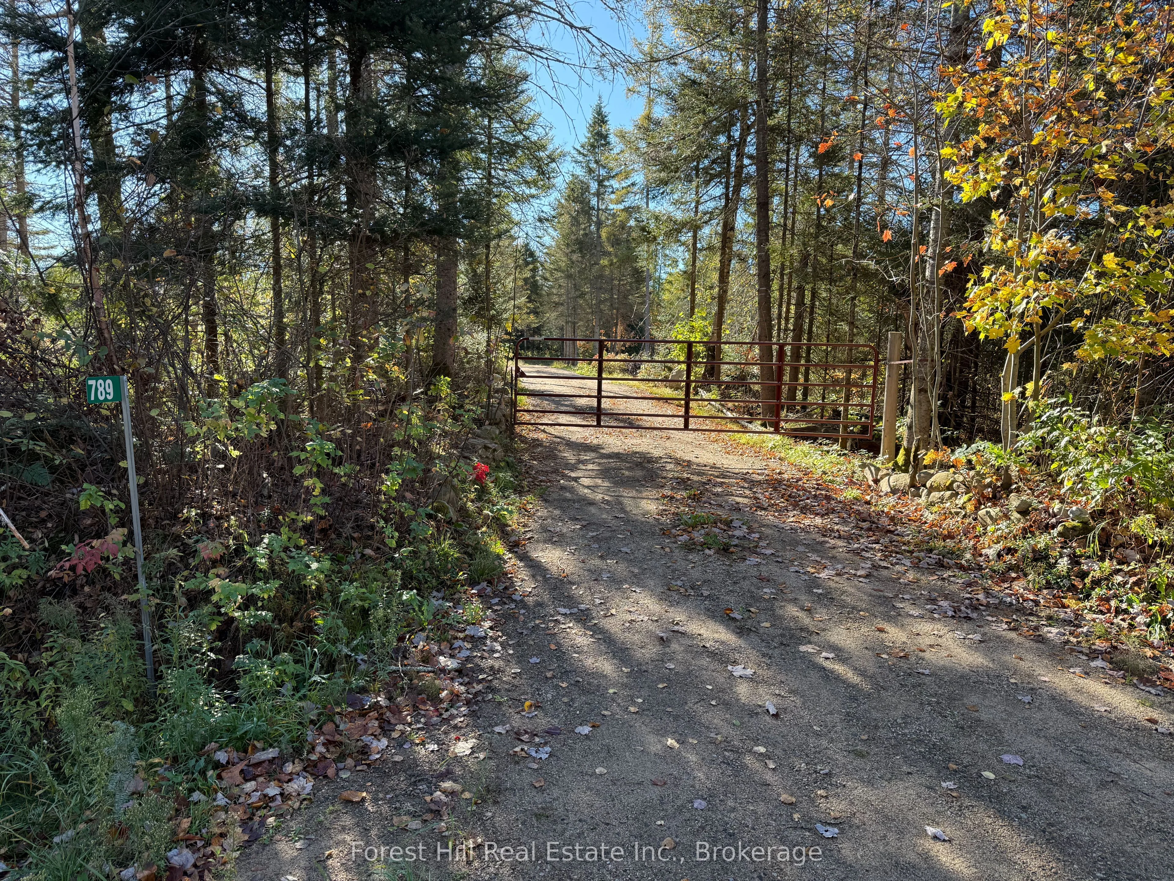 789 PICKEREL & JACK LAKE Road, Armour, ON P0A 1C0