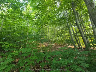 126 Old Highway 26 Highway, Meaford, On N4l 1w7