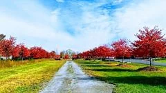 V/l Rosehill Road, Fort Erie, On L2a 5m4