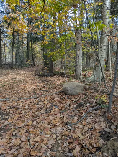 Vacant Land in Bracebridge