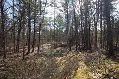 LOT 15 Concession 9, Trent Lakes, ON, K0L 1J0