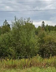 2 Cherry Hill Road, Northern Bruce Peninsula, On N0h 1w0