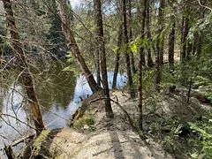 0 County Road 503, Minden Hills, On, K0m 2a1