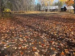482 Bellamy Road, Mcnab/braeside, On K0a 3l0