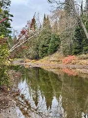 1068 Snookums Lane, Highlands East, ON K0M 2A1