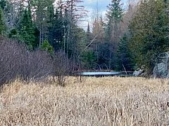 Lot 0-b Legrou's Lake Road, Parry Sound Remote Area, On P0h 1a0