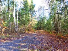 Pt Lt 2 Con 4 Mcfadden Line, Parry Sound Remote Area, On P0h 2l0
