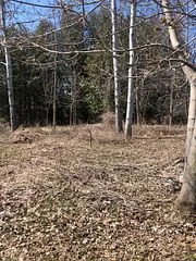 35A Cloverloft Court, Stittsville - Munster - Richmond, ON K2S 1T3