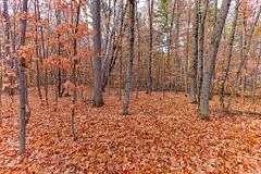 0 Rocky Point Drive, Bonnechere Valley, On K0j 1x0