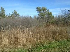 49 E Rideau Avenue N, Montague, ON K7A 4W1
