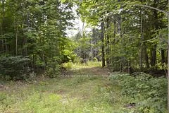 1148 Mt St Patrick Road, Admaston/bromley, On K7v 3z7