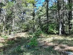 0 PT LT12 CON14 Hwy 37 Road, Tweed, ON K0K 3J0