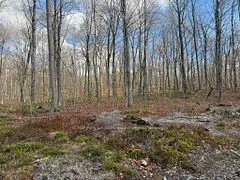 Part 19 Standing People Road, Seguin, On P2a 2w8