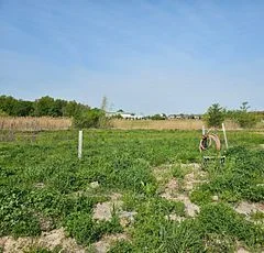 7319 Majestic Trail, Niagara Falls, On L2h 3v4