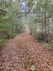 00000 Ril Lake Road, Lake of Bays, ON P0B 1A0