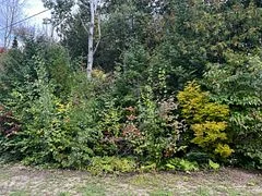 1 Shore Road, Saugeen Shores, On N0h 2l0