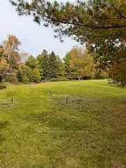 1614 County Road 504 , North Kawartha, ON K0L 1A0
