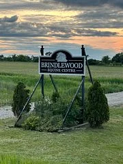 885 Highway 36 Road, Kawartha Lakes, On K9v 4r4