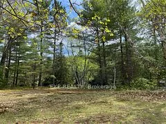 Lot 37 Sandy Shores Trail, Madawaska Valley, On K0j 1b0