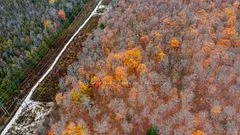 0 E Story Book Park Acres E, Meaford, On N4k 5n6