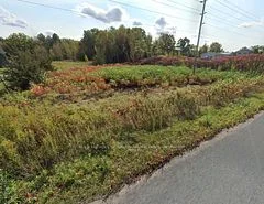 Lot 14 Trent River Road, Trent Hills, On K0l 1z0