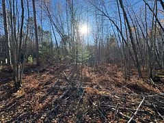 PART 2, PLAN 46R-8228 Boundary Road, Alfred and Plantagenet, ON K0B 1L0