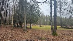 PT LT 1 Concession Rd 21 Road, Georgian Bluffs, ON N0H 2T0