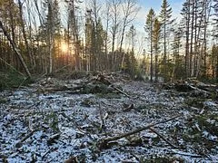 3051 Highway 534, Nipissing, On P0h 1w0
