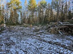 3051 Highway 534, Nipissing, On, P0h 1w0