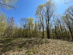1019 CARL'S Road 3, Muskoka Lakes, ON P0B 1J0