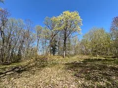 1019 Carl's Road 3, Muskoka Lakes, On P0b 1j0