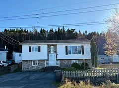 50 Parkwood Drive, Out of Area, NL A0G 2P0
