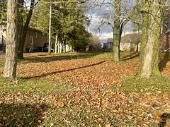 460b Domville Street, Wellington North, On N0g 1a0