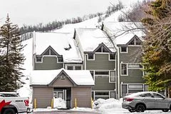 796404 Grey 19 Road 107, Blue Mountains, ON L9Y 0N8