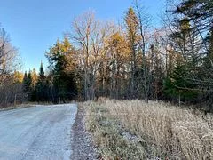 46 Spur Road E, Parry Sound Remote Area, ON P0H 1S0