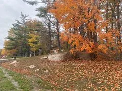 2943 County Rd 36, Trent Lakes, On, K0l 1j0