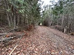 Vacant Land in Kawartha Lakes