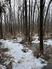 0 Wolford Centre Road, Merrickville-Wolford, ON K0G 1N0