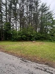 124 Frederick Street, Bracebridge, ON P1L 1B5