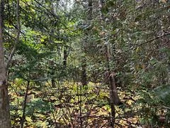 7 SHORE Road, Saugeen Shores, ON N0H 2L0