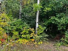 6 Shore Road, Saugeen Shores, On N0h 2l0