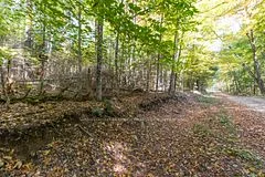 0 Lynx Lake Road, Huntsville, On P1h 2j3