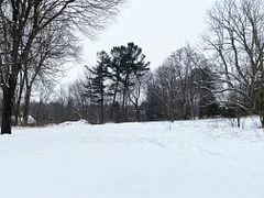 106 Bruton Street, Port Hope, On L1a 1v3