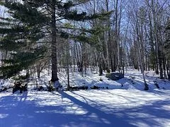 30 Hawkins Point Road, Georgian Bay, On P0c 1a0