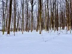 36720 River Road, Ashfield-Colborne-Wawanosh, ON N0G 2H0