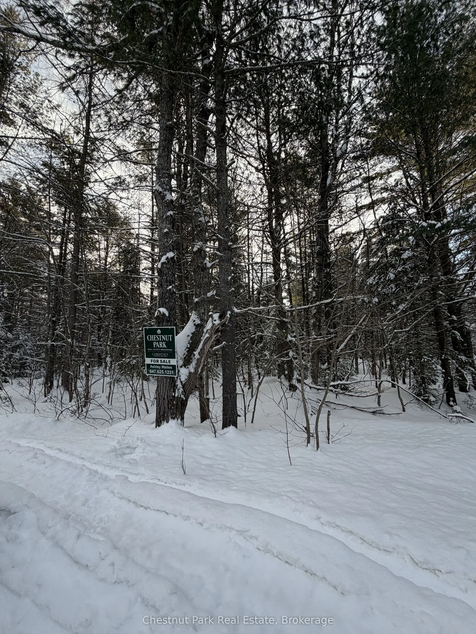 1839 Bear Cave Road, Muskoka Lakes, ON P0B 1G0