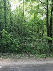 0 Graham Lake Road, Front Of Yonge, On K0e 1r0