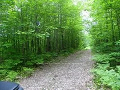 50 Acres In Muskoka North Of Bala Pcl 31045, Muskoka Lakes, On, P0c 1a0