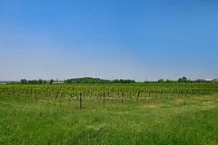 497 Line 5 Road S, Niagara-on-the-Lake, ON L0S 1T0