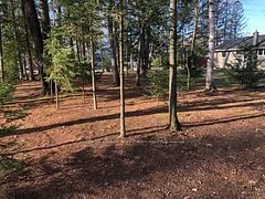 65 Vaan Drive, Tanglewood - Grenfell Glen - Pineglen, On K2g 0c2